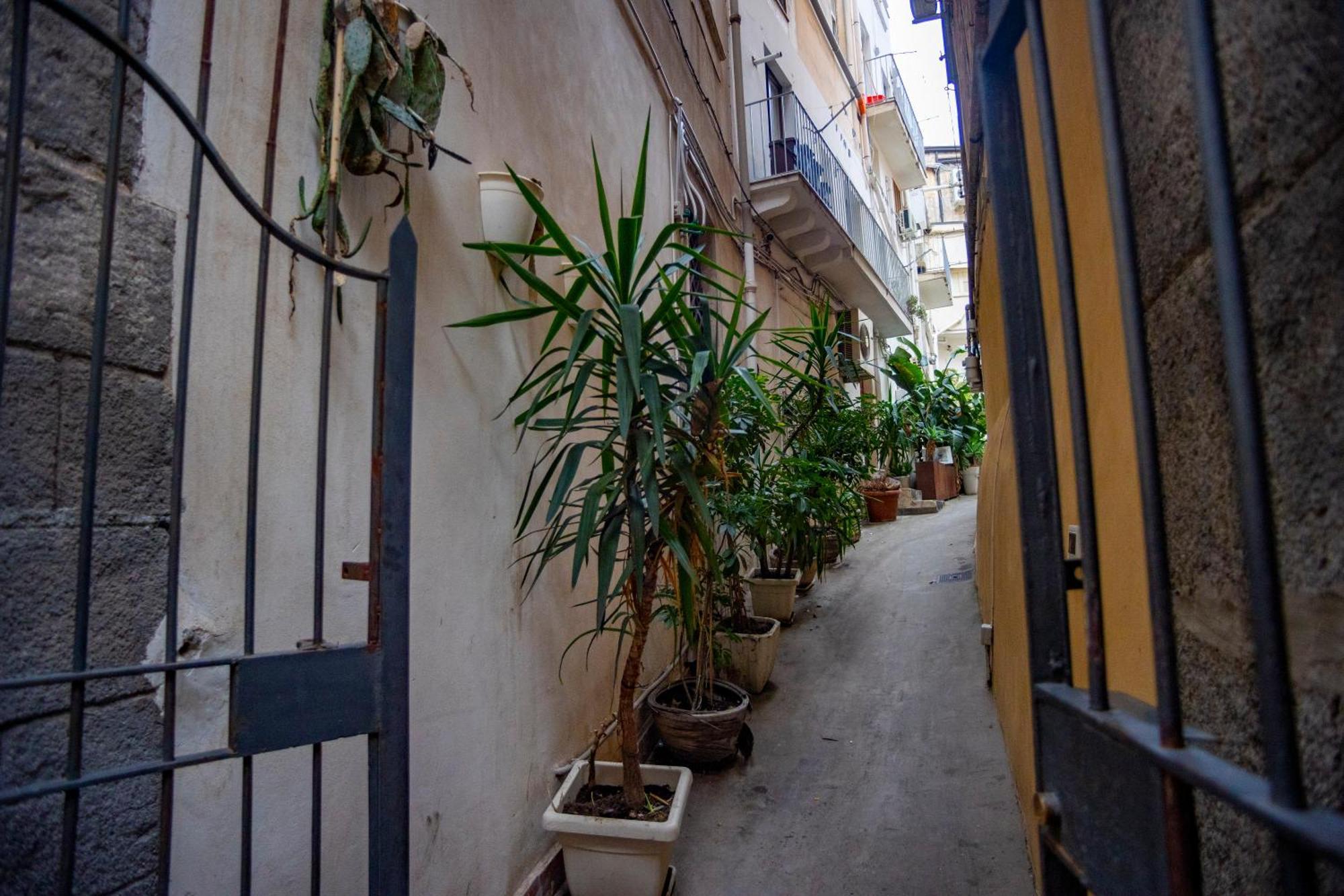Katane' Room'S Catania Exteriör bild